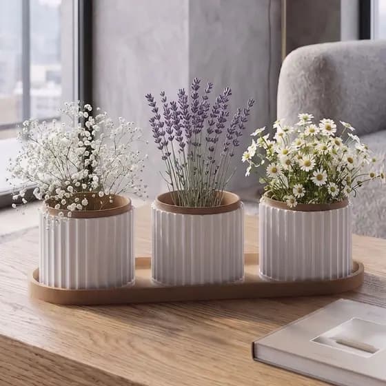 Jogo de Vasinhos Para Decoração e Plantas Suculentas Classicos