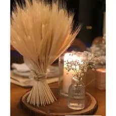 Hastes de Trigo Decorativo Seco Elegante Luxo Convites Festas Eventos Arranjos Artesanato  Maços