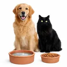 2 Comedouro Bebedouro 2,5lts e 1,5lts Ceramica Barro Tigela Caes Gatos Cachorro