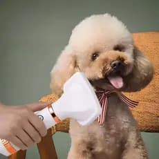 Escova Secadora 2 em 1 Pet Silenciosa para animais de Estimação, Secador portátil de ar quente 110V