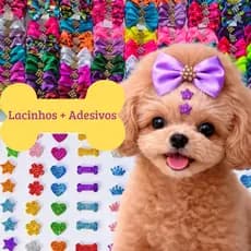 Kit PET Lacinhos + Adesivos Decorativos 10/20/30/40/50 modelos e cores Sortidos Pet Shop banho e tosa