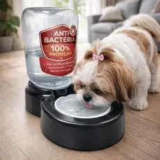 Bebedouro Cachorro Gato 3 Litros Pelos Longos Automático Limitador