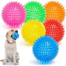 Bola Cravo para Cães  Médio a Grande Sem Apito Cachorro 07 centímetros
