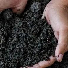 Húmus de Minhoca Adubo Orgânico 2l