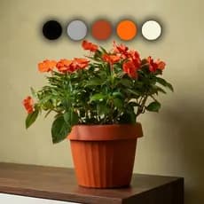 Vaso De Flor Com Prato Embutido Anti Dengue Planta Decorativo Moderno Inteligente