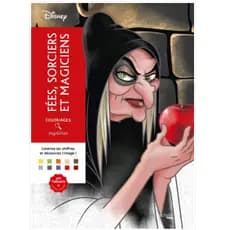 Livro De Colorir Mistérios Disney Fées, Sorciers Et Magiciens Folhas soltas ou encadernado 75g ou 90g