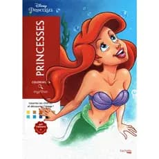 Livro de colorir Mistérios Princesas Disney Gramatura 90 ou 75 Gramas Folhas Soltas ou Encadernado