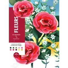 Livro de colorir mistérios fleurs flores 90 ou 75 Gramas Folhas Soltas ou Encadernado
