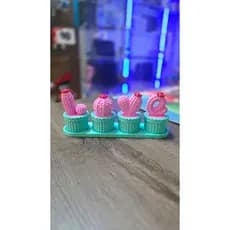 🌵 Kit Cactos Love Decorativos – Estilo e Delicadeza 💖Porta Jóias - Com Rosca - Abre Fácil!