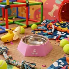 Comedouro Personalizados com Nome + Tigela 17cm Inox Pet Gato, Cachorro Alimentador