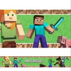 Faixas decorativas Personalizadas -Tema Minecraft - envie o nome da criança pelo chat - Disponível e