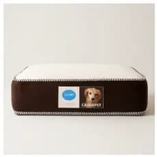 Cama Para Cachorro Pequeno –colchão pet Colchopet Sob Medida 50x40x10cm Espuma D26