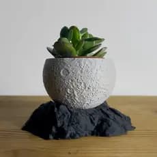 Vaso Decorativo Formato Lua
