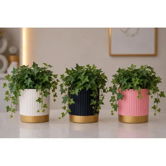 Arranjo Completo De Hera: 1 Vaso + 10 Metros de hera