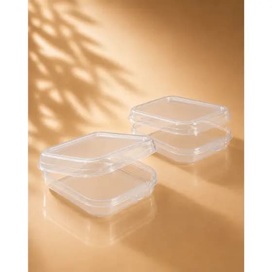 Kit 2 Porta Lanche Sanduicheira Trava Lancheira Organizadora Resistente BPA FREE Fruteira Escolar
