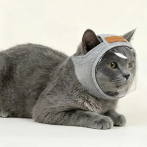 Capuz transparente para gato, visão desobstruída, máscara de malha respirável para gato, máscara protetora.