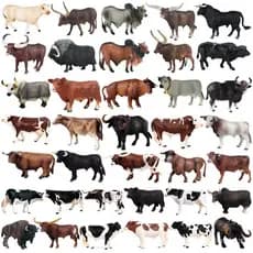 Figura de Ação de Simulação de Animais de Fazenda, Galo Angus, Touro, Búfalo, Iaque, Brinquedo Educacional, Coleção Infa