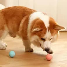 Função de despertar Brinquedo Para Gato Bola Giratória Inteligente Pet Silicone