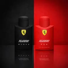 1 Ou 2 Perfumes Ferrari Black + Ferrari Red Masculino Eau de Toilette Dia e Noite Fixação Intensa