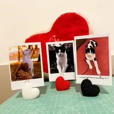 Decoração de Sala com KIT 3 Fotos Polaroid do Seu PET + Suporte