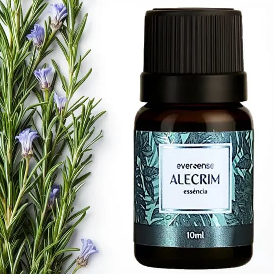 Essência 10ml Alecrim Aromatizador Ambiente Difusor Umidificador Varetas Cosméticos Eversense