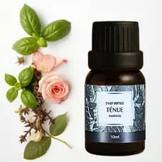 Essência 10ml Tênue Aromatizador Ambiente Difusor Umidificador Varetas Cosméticos Eversense