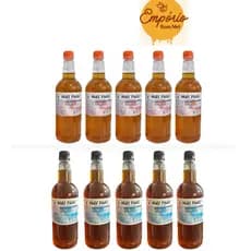 PROMOÇÃO KIT 10 GARRAFA MEL PURO 5 FLORADA SILVESTRE E 5 FLORADA LARANJEIRA 1,3KG