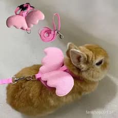 Bonito Coelho Ferrots Cat Harness Com Asas De Anjo Andando Pet Leash Para Animais De Pequeno Porte Totoro Guinea Pig