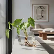 Vaso De Vidro Plantas Transparente Parede Criativo Diamante Decoração Flores