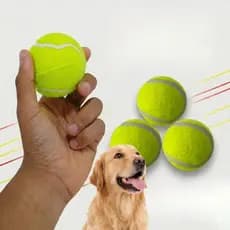 Kit 3 Bola de Tênis Kit Ideal Para Jogos Crianças e Pets