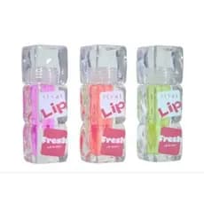 LIP FRASH VIVAI