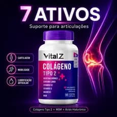 Colágeno Tipo 2 Vital Z + Ácido Hialurônico K2 D3 MSM Cúrcuma 60 Cápsulas