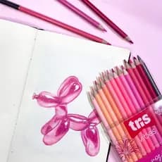 Lápis de Cor Vibes Tons Rosé - Tons de rosa 12 Cores + 1 Lápis 6B – Tris Vibes