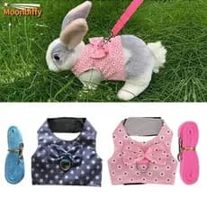 Pequeno Animal Ao Ar Livre Andando Arnês E Trela Conjunto Roupas Bonitos Para Filhote De Cachorro Gatinho Porcos Coelho
