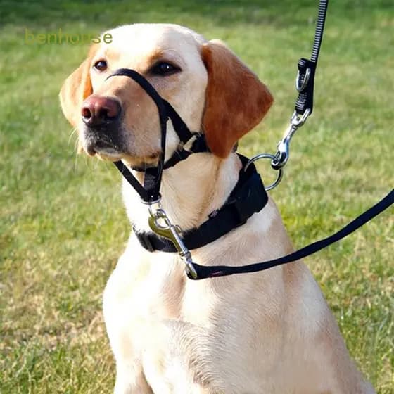 Coleira De Cabeça Para Cachorro De Estimação Puxador De Cabresto Treinamento De Nylon Trelas