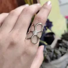 A regulável flor aço inoxidável não escurece