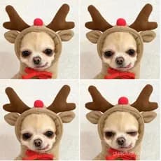 ✨Pet Roupas Alce De Natal Estilo Para Cães Filhote De Cachorro Quentes Teddy Pomeranian roupa de cachorro de natalTransf