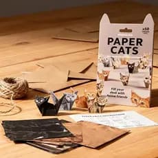 Kit DIY Cat Origami 50 Gatos de Origami para Dobrar Arte Artesanal Fofa e Divertida para Crianças e Famílias Projeto