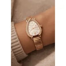 Relógio de Quartzo feminino Modelo Cobra Com Design Requintado e pulseira retrátil luxuosa