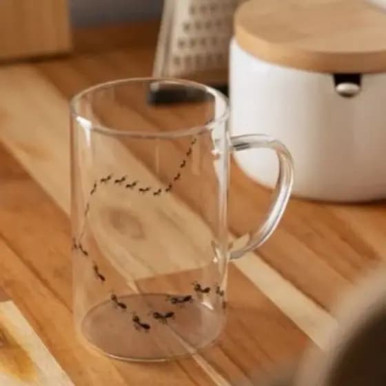 Caneca New Bug 280ml Vidro Borossilicato - Lyor