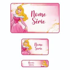KIT 110 Etiquetas Escolares Personalizadas Princesas Adesivos em Vinil Duravel Prova D'água