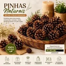 Pinhas Naturais Secas para Decoração, Artesanato, Arranjos, Velas e Natal | Kit com 10, 20 e 30 unidades.