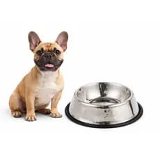 Comedouro e Bebedouro Inox para Cães e Gatos com Base Antiderrapante