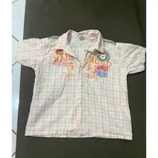 blusa xadrez clara estampada infantil masculino tigor t. tigre