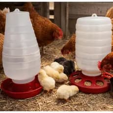 Kit Comedouro Bebedouro Aves Galinhas Granja Galinheiro Grande Automático 5kg E 5l