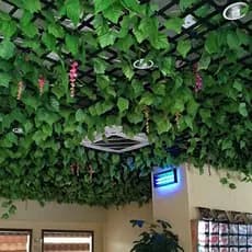 Simulação Folhas De Uva Plástico Evergreen Videira Decoração Tubo Teto Enrolamento