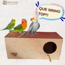 Ninho de Madeira MDF para Periquito Agapornis Calopsita Gaiola Viveiro Aves Pássaros