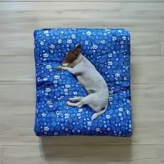 Colchonete Cama Pet Lavável Zíper Almofada Cachorro Gato Porte Pequeno Médio Grande Luxo Promoção