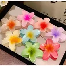Kits Ate 12 Peças piranha De Cabelo Flor De Feriado De Praia Barrettes Alto Qualidade
