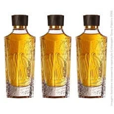 PERFUMES MASCULINOS SIGNATURE IMPORTADO PREMIUM